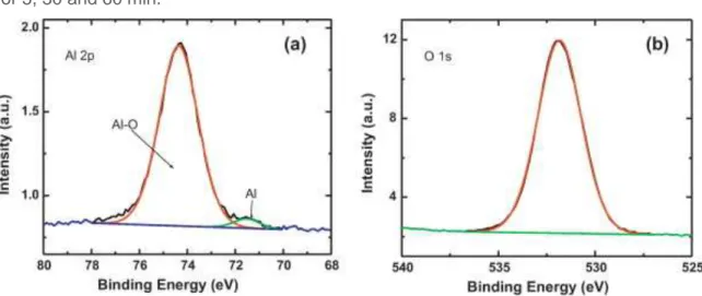 Fig. 7. Survey spectra of the AA 6061 aluminum alloy surfaces treated with 0.1 M NaOH  for 5, 30 and 60 min