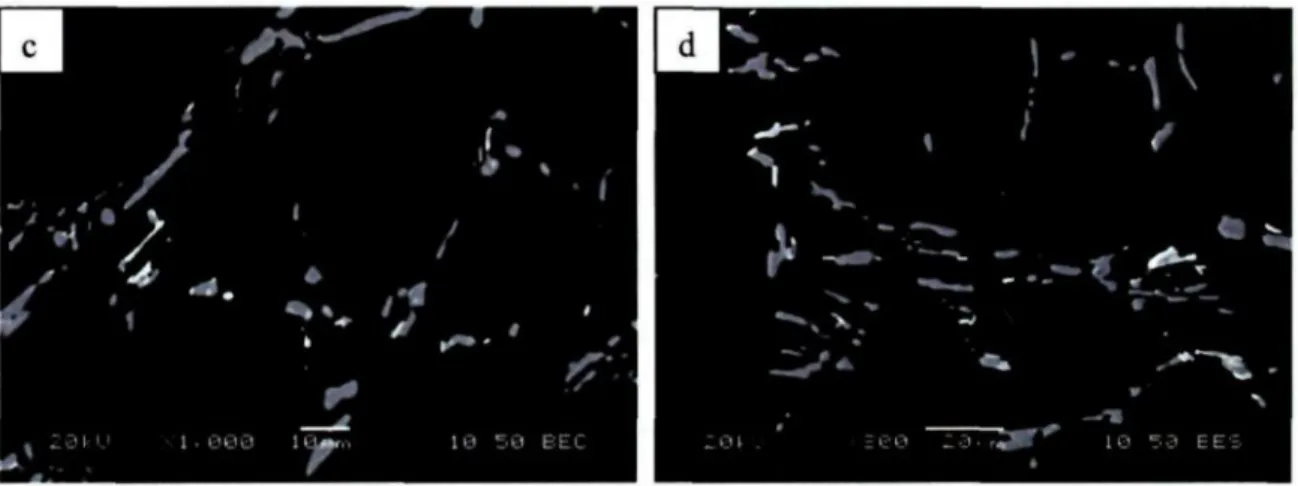 Figure 4.6 BSE images of AA2618 alloy samples solution treated for 5 h at various temperatures: (a) 480 °C, (b) 505 °C, (c) 530 °C, and (d) 545 °C.