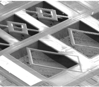 Figure 1.6. Exemple de structures micro-usinées par gravure en volume par FSBM 
