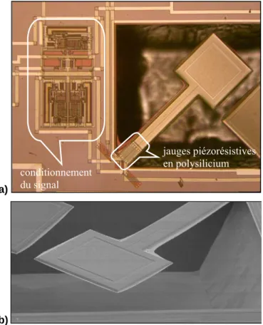 Figure 2.27. a) Photo de la structure A accompagnée de son circuit d’amplification    b) Photo au Microscope à balayage électronique de la structure A 