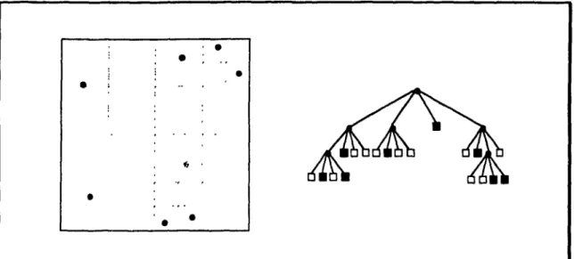 Fig.  1.11  - arbre  PR  hyperquaternaire, 