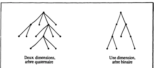 Fig.  1.14 - Exemples d'arbres hyperquatemaires. 
