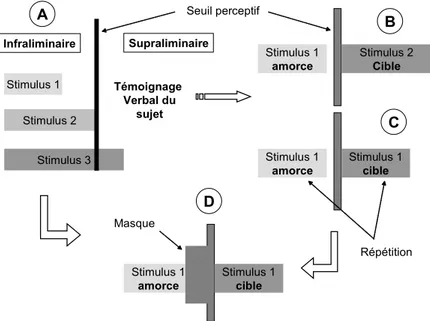 Figure 2.1. Diagramme récapitulatif représentant l’évolution de la technique de présentation subliminale allant de : la  méthode psychophysique des seuils (A) å le paradigme d’amorçage subliminal (B) avec deux stimuli successifs :  amorce infraliminaire et
