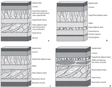 Figure 2.7: Positionnement histologique du SMAS par rapport aux couches graisseuses dans différentes  régions de la face (a : extra-faciale, b : région parotidienne, c : région jugale et d : sillon naso-génien) (15)