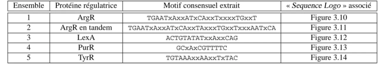 Table 3.6 – Motifs extraits par S TARS pour les jeux de séquences d’E. coli.