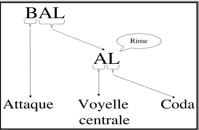 Figure 1. Segmentation en attaque, voyelle et coda de la syllabe phonologique