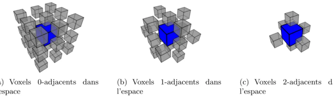 Fig. 2.4 – Les diﬀérents voisinages de l’espace discret tridimensionnel