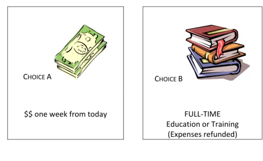 Figure 2.1: Example of Educational Subsidy Choice 