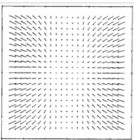 Figure 20 - Représentation de la composition des disparités horizontales et verticales, sous forme  vectorielle, d’un plan fronto-parallèle (Nakayama, 1983)