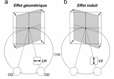 Figure 21 - Représentation de la perception de rotation d’une surface par rapport à l’axe vertical :  (a) l’effet géométrique correspond au grossissement horizontal, par une lentille (LH), de l’image de l’œil droit 