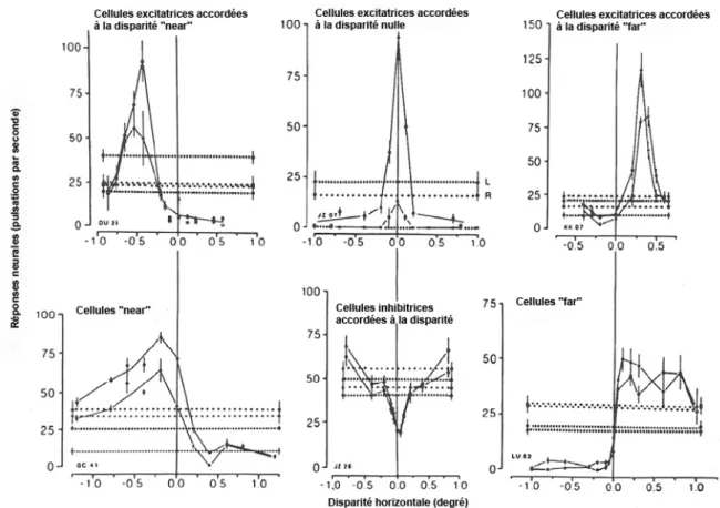 Figure 23 - Profils de sensibilité à la disparité pour des cellules corticales du macaque (d’après Poggio,  1991) : les cellules accordées à la disparité binoculaire, excitatrices (en haut) et inhibitrices (en bas, au centre) ;  les cellules à sensibilité 