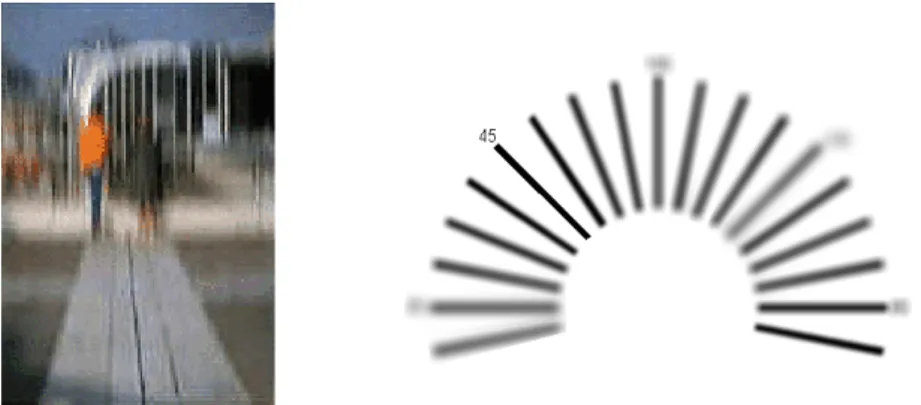 Figure 27 - Illustrations de la vision d’un astigmate. Une direction est perçue plus nette que les autres