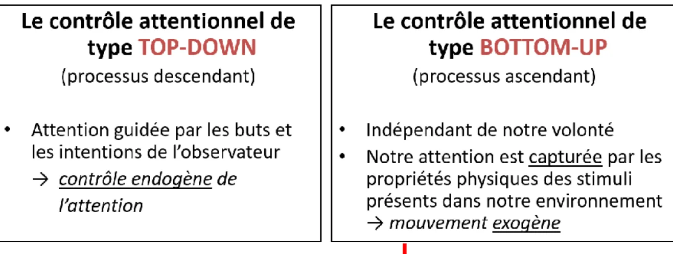 Figure 1. Caractéristiques des deux types de contrôles attentionnels. 