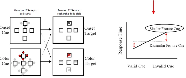 Figure 4. Schéma représentant le paradigme de la pré-signalisation. Dans cette figure,  les deux propriétés caractérisant les signaux et les cibles sont soit la couleur (color cue  /  color  target),  soit  l’onset,  c’est-à-dire  l’apparition  soudaine  e