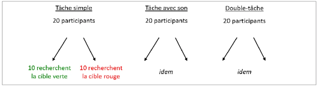 Figure 16. Répartition des participants en fonction des tâches/conditions. 