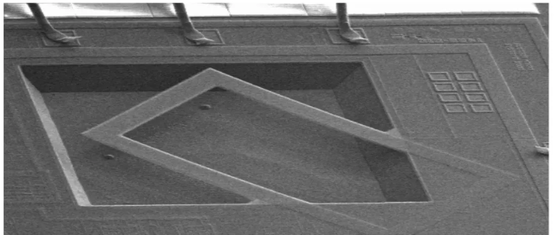 Figure 1-2 : Capteur magnétique réalisé par micro-usinage en volume [LATO99] 