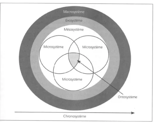 Figure 1 : Les aspects structuraux du modèle écologique  7