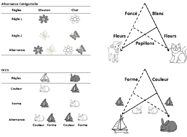 Figure 16 : Structure de la tâche d'alternance catégorielle complexe et du DCCS avec l'arbre de décision  correspondant