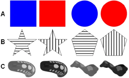 Figure 18 : Images utilisées dans nos trois tâches d'alternance catégorielle. A : images simples ; B : images  intermédiaires ; C : images complexes