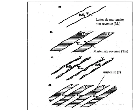 Figure  10  Microstructure  du  415  pendant  les  différentes  étapes  du  double  traitement  thermique