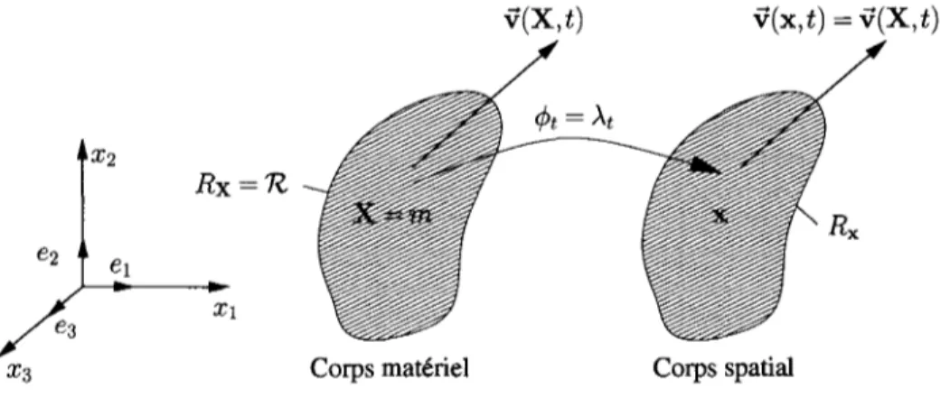 Figure 7  Description lagrangienne du mouvement  domaine matériel  Rx  à ses valeurs dans le domaine spatial  Rx: 