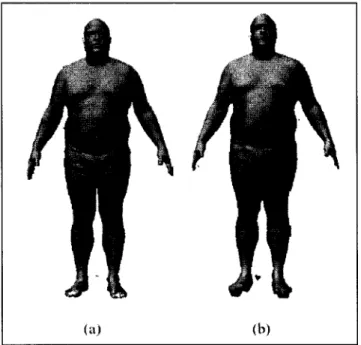 Figure  12  Méthode  de  diffusion  volumétrique  pour  le  remplissage  des  trous  des  modèles  CAESAR,  (a)  modèle  original,  (b)  modèle  avec  les  trous  remplis  (Ben Azouz, 2005) 