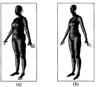 Figure 34  Autres  modèles  CAESAR  originaux  pour  exemples  de  1' application  de  l'algorithme de modélisation surfacique, (a) modèle 380, (b) modèle 401  Dans  le  cas  présent,  les  modèles de  femmes  ont été testés  afin de  valider 1' apport de 