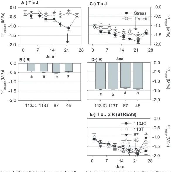 Figure 1. Potentiel hyrique préaube (Ψ préaube)  en juin en fonction (A-) de l'interaction T x J et (B-)  des types de plant R