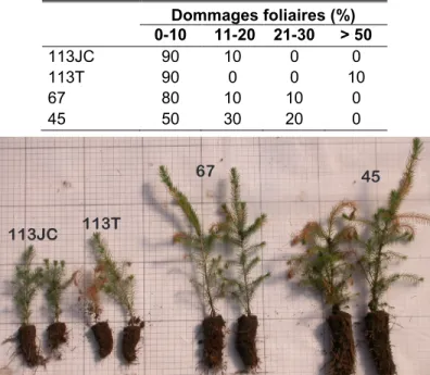 figure 6G). Les valeurs de EUE ont augmenté rapidement  durant  le  stress  hydrique  à  partir  du  jour  8  du  traitement  pour  diminuer  à  la  fin  de  celui-ci  et  se  stabiliser  autour  des  valeurs  des  plants  témoins