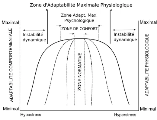 Figure 8. Modèle curvilinéaire de l'effet du niveau de stress sur l'adaptabilité comportementale et  physiologique, par Hancock et Szalma (2006)