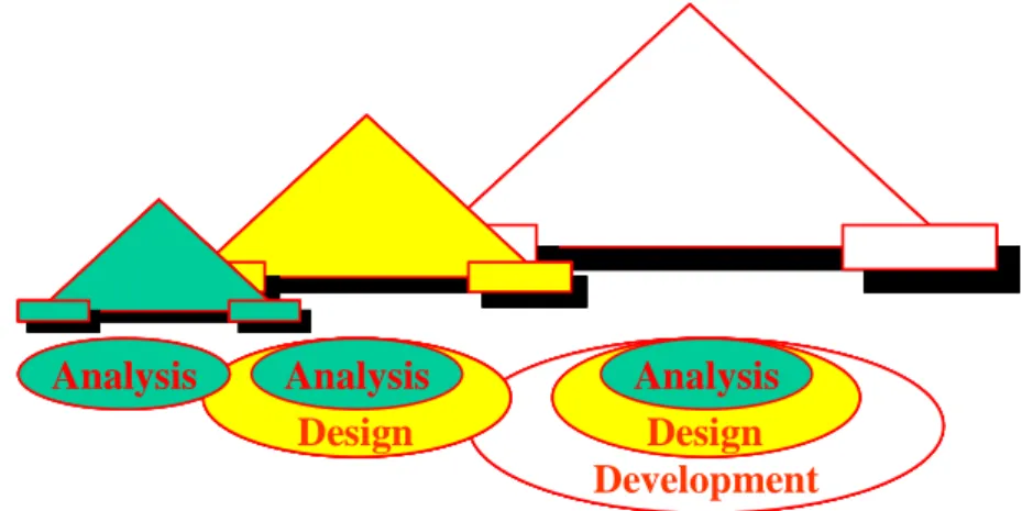 Figure 36  Évolution de la taille du modèle au cours du développement (Desfray, 1994)