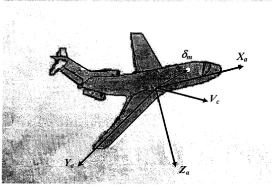 Figure 3  Un élément de masse de l'avion 