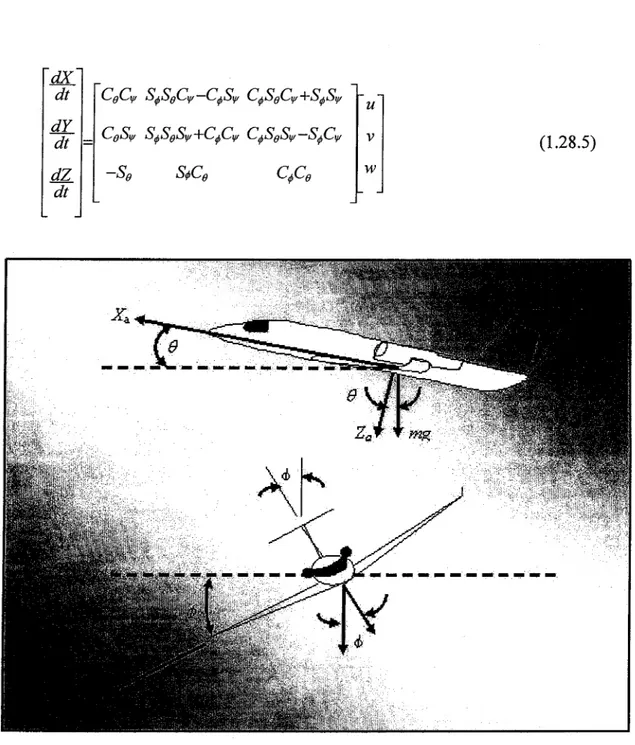 Figure 7  Composantes de la force  gravitationnelle agissant selon la  système d'axe lié à l'avion 