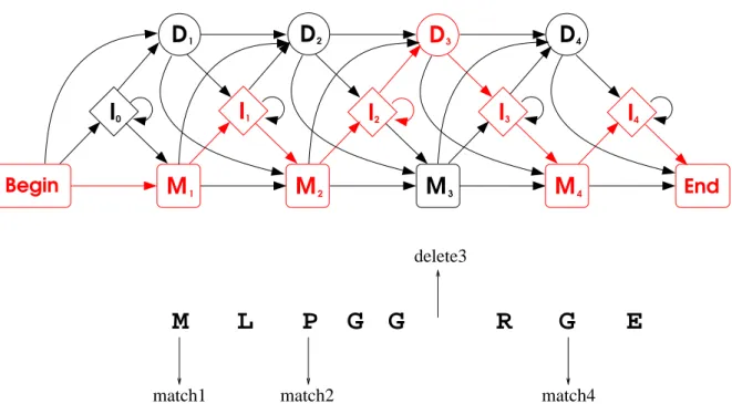 Figure 3.4. Un HMM profil de longueur 4 et une séquence X pour laquelle on propose en dessous un alignement possible contre le HMM profil