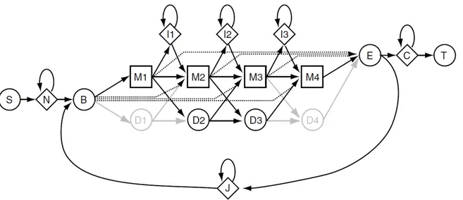 Figure 3.6. L’architecture complète Plan7 des HMM profils des suites HMMER2.x et HM- HM-MER3.0