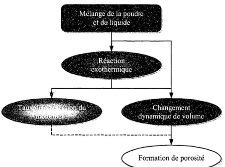 Figure  14- Relation entre les mécanismes du phénomène de polymérisation 