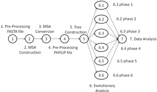 Figure 2.2: SciEvol workflow [137].