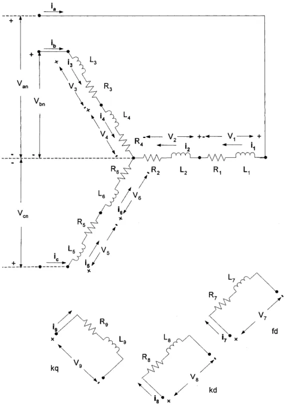 Figure 13  Représentation de la machine synchrone  par 9 enroulements 