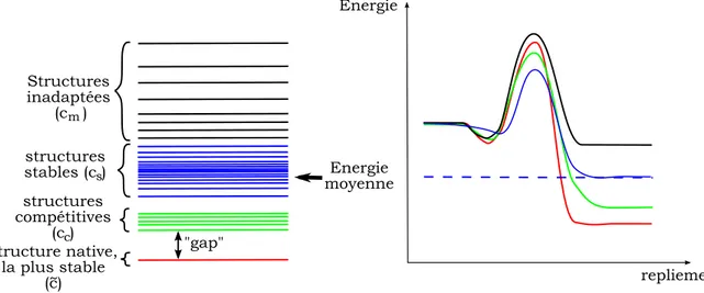 Figure 2.1  Paysage énergétique d'une séquence repliée dans diérentes structures.