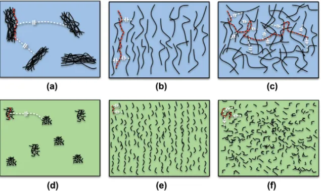 Figure 1.5  -  Schematic illustration of a-c) high aspect ratio MWCNT-based PDMS  composites considering a) agglomerations of MWCNT, b) aligned distributed MWCNT, and 