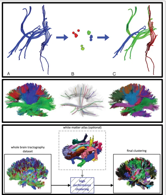 Figure 1.7 Illustrative examples of clustering approaches. Top row: Spectral embedding based streamline clustering (Source: O’Donnell et al