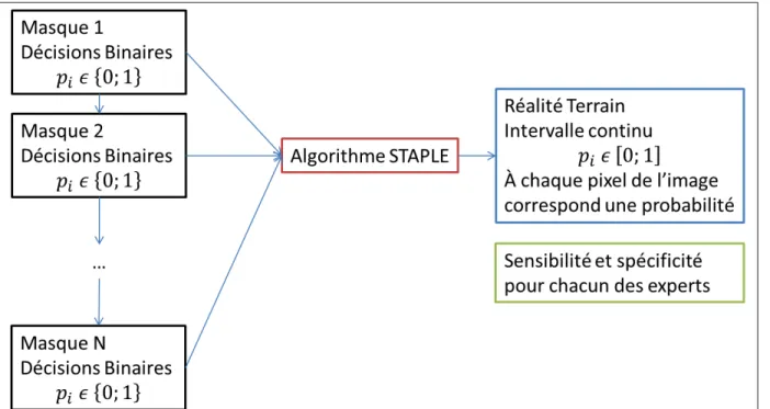 Figure 1.8 L’algorithme STAPLE prend en entrée plusieurs références d’experts.