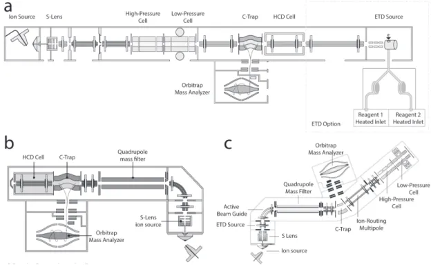 Figure 1.14 – Schéma des différents Spectromètres de masse utilisant l’Orbitrap. a) LTQ- LTQ-Orbitrap, b) Q-Exactive, c) Tribrid Fusion