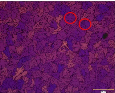 Figure 2.1 Taille de grain pour l'alliage 2 non Homogénéisé obtenu par le nouveau procédé  Coulage DC (50 micromètres au microscope optique polarisé) 