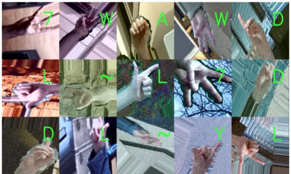 Figure 3.9 Image processing operations applied to the training images include color-shift, zoom, shear, rotation, axes flip and position shift processes.