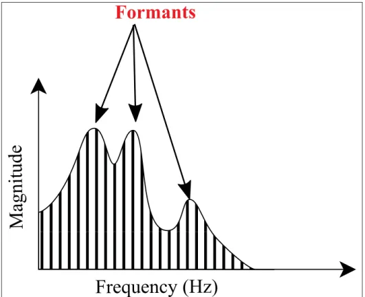 Figure 1.1 Spectral representation of the vowel /a/ showing the formants.