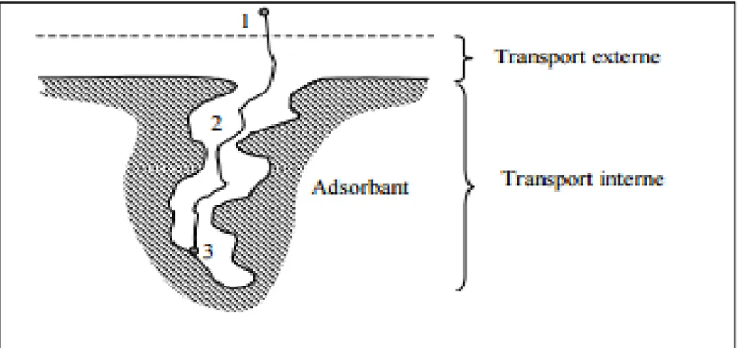 Figure 1.2  Les étapes du transfert d’une molécule vers un adsorbant   Tirée de (Ettlili, 2008) 
