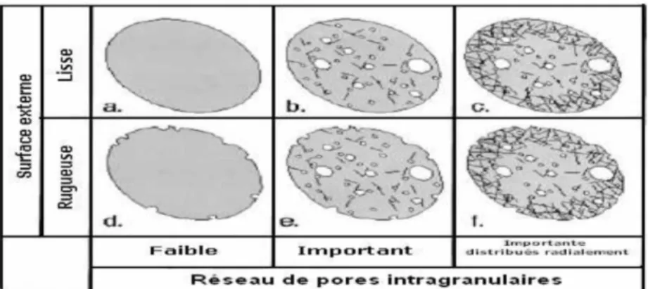 Figure 1.5  Influence de la rugosité et porosité d’adsorbant   sur la surface spécifique  