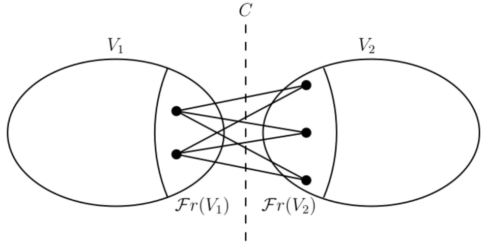 Fig. 1.8 – V 1 et V 2 sont des demi-coupes compl´ementaires l’une de l’autre. C = {V 1 , V 2 } est une coupe.
