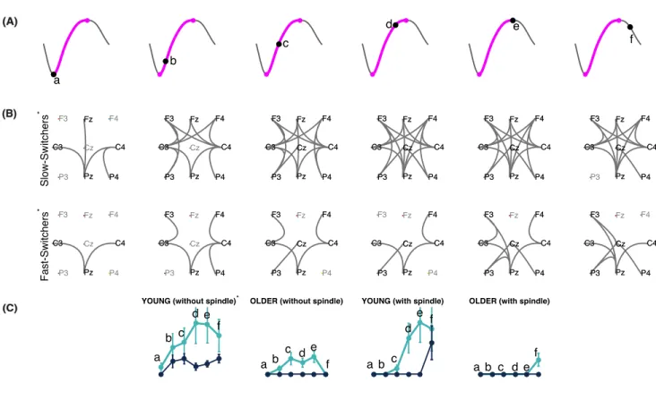 Figure 3.3: EEG Connectivity signature of slow- and fast-switchers without and with sleep  spindles in young and older individuals